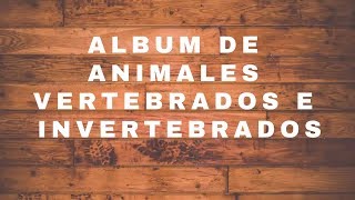 Animales Vertebrados e Invertebrados para tarea escolar  Material escolar [upl. by Eceined]