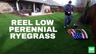 Reel Low Perennial Ryegrass  Andrew Barry [upl. by Allemaj]