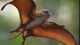 TOP 10 ANIMALES PREHISTORICOS MAS RAROS Y EXTRAÑOS [upl. by Ona276]