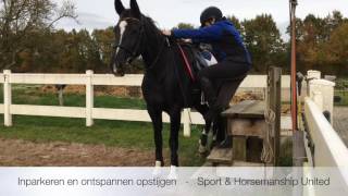 Inparkeren en ontspannen opstijgen  Sport amp Horsemanship United [upl. by Armilda]