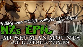 FIORDLAND WAPITI Heaven HD Tours NZs Largest Wapiti [upl. by Ymor]