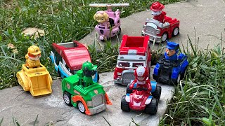 Looking PAW Patrol  PAW Patrol Toys  Everest Zuma Skye Marshall Rubble Chase  Video for kids [upl. by Anglim]