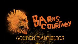 Barns Courtney  Golden Dandelions  Lyrics [upl. by Adnoma378]