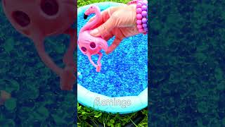 Learn Animal Names for Babies Kids with Orbeez Waterbeads Giraffe Flamingo Rabbit Owl Panda [upl. by Aieken]