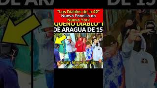 Los Diablos de la 42 nueva pandilla en Nueva York noticias pandilladela42 diablosdela42 [upl. by Ainitsirhc85]