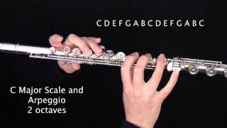 How to play the C Major Scale and Arpeggio on the Flute Learn Flute Online [upl. by Onida]