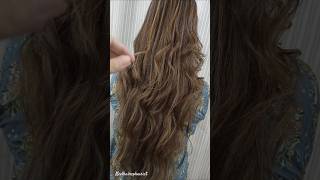 PENCIL HIGHLIGHTS ON LONG HAIR 🏆🌞🍁🤎 hairstyle fashion beauty haircut shorts hair [upl. by Primavera744]