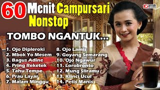 60 Menit Campursari Nonstop Tombo Ngantuk Dasastudio [upl. by Zilla474]