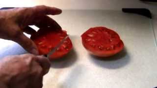 Brandywine Red Heirloom Tomato Taste Test [upl. by Leiria]