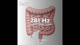 281 Hz Pure Tone  Intestines Healing [upl. by Ociredef]