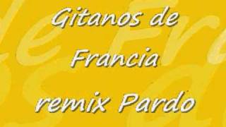 Gitanos de Francia remix Pardo [upl. by Aiekahs185]