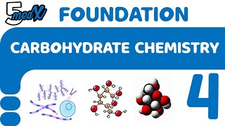 lecture 4 CHO Proteoglycans vs Glycoproteins [upl. by Garlan]