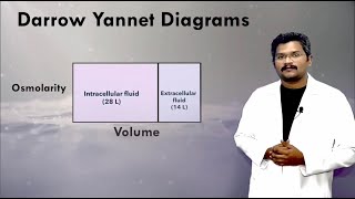 Darrow Yannet Diagrams Isotonic hypotonic and hypertonic saline solutions [upl. by Webster]