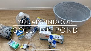 1 My Small Indoor Goldfish Pond Set Up With Boys [upl. by Ttirrej754]