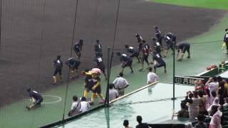 阪神タイガース 復刻ユニフォームで柔軟体操 20110618 [upl. by Idonna]