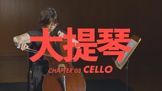 大提琴介紹 Cello [upl. by Gnohp]