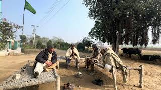 Lohri Mubarak huway sab nu  Anjum Saroya Wachar about Lohrifestival in Punjab culture Saroya [upl. by Eelnayr]