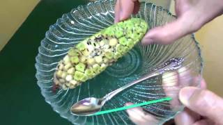 How to Eat Monstera Deliciosa Fruit sometimes calledSplitLeaf Philodendron [upl. by Lehsreh798]