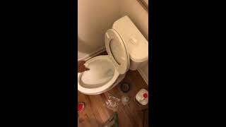 Toilet wont Flush water stays in bowl Easy FIX Solution siphon jets cleanout [upl. by Gaulin579]