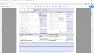 How to fill out SBA Form 413 [upl. by Bromley4]