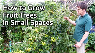 How to Grow Fruit Trees in Small Spaces [upl. by Abisha]