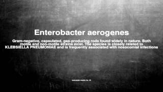 Medical vocabulary What does Enterobacter aerogenes mean [upl. by Mchail]