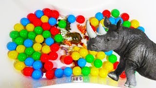 Learn Wild Zoo Animals for Kids Quickly in Colorful Balls Pool [upl. by Richmal798]