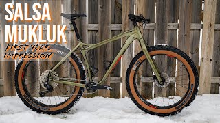 ONE YEAR LATER The Salsa Cycles Mukluk salsacycles fatbike cycling [upl. by Asenej]