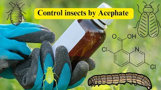 Acephate Insecticides Effective Pest Control Solutions in cotton fruits and vegetables [upl. by Sherwin994]