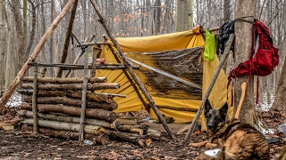 Overnight Bushcraft Camp with my Dog  Long Fire Wool Blanket Fire Reflector [upl. by Bolt]