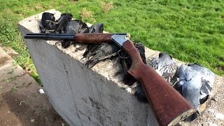 Crow Shooting around a farmyard [upl. by Callum147]