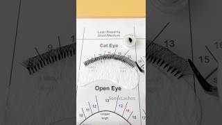 Cat Eye Lash Mapping❤️ [upl. by Genesa]