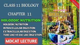 INTRODUCTION TO DIGESTION AND HOLOZOIC NUTRITION MDCAT  CLASS 11 NEW BIOLOGY SINDH BOARD mdcat [upl. by Rosenthal]