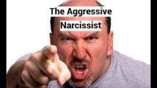 The Aggressive Narcissist [upl. by Engamrahc51]