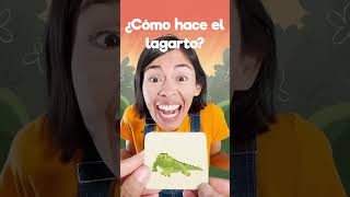 🦎 menique leon lagarto lobo videosgraciosos 123andres alfabeto aprendeespañol education [upl. by Viki]