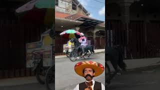 ¡Increíble El Caballo con Llantas de Bicicleta 🚴‍♂️🐴 humor comedia [upl. by Cowey]