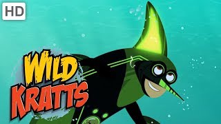 Wild Kratts 🐬🦈🐙 Creature Powers in the Ocean  Kids Videos [upl. by Nnayelhsa]