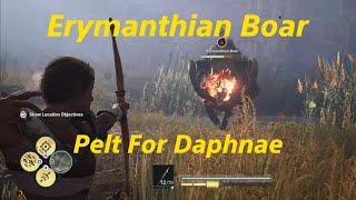 Assassins Creed Odyssey  The Erymanthian Boar [upl. by Aynav]