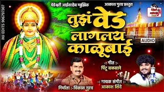 VED LAGLAY KALUBAI  तुझं वेड लागलंय काळूबाई AKASH SHINDE NEW KALUBAI SONG [upl. by Gemina]