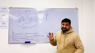 DR SHAHAB  USMLE lecture 9 part on nervous system [upl. by Dyche]