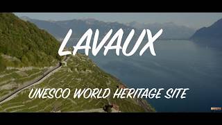 LAVAUX SWITZERLAND  UNESCO WORLD HERITAGE SITE  DRONE PERSPECTIVE [upl. by Amikat316]