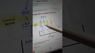 Sensory nerve supply of tongue neetpg inicet fmge usmle [upl. by Sissy884]