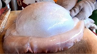 Amazing Cutting Live Big Cuttlefish Skills  Taiwanese Seafood Market [upl. by Fadil]