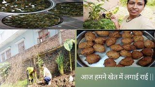 Aaj banyi hamne gul gule or arbi ke patto ka pathood Daily Vlog  video Panwar priyanka [upl. by Airemat]