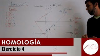 Homología Ejercicio 4 RLejeOA [upl. by Lanta]