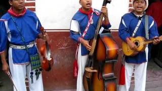 MUSICOS HUICHOLES NUBES DE LA SIERRA [upl. by Enneyehs]