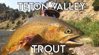 Teton Valley Trout  Ultimate Idaho Fly Fishing [upl. by Tager]