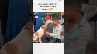 Ashiki ka gam laga janvar tha vah vafadar dog tha shorts viral [upl. by Ashman]