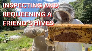 Inspecting and requeening a friends hives [upl. by Kamal]