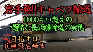 今年で見納め‼️2024年問題‼️直結の青果輸送の仕事‼️【長距離トラックドライバー】 [upl. by Annaoy]